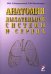 Анатомия дыхательной системы и сердца: Учебное пособие. 16-е изд., перераб. и испр