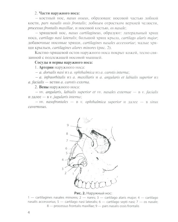 Анатомия дыхательной системы и сердца: Учебное пособие. 14-е изд., перераб. и испр