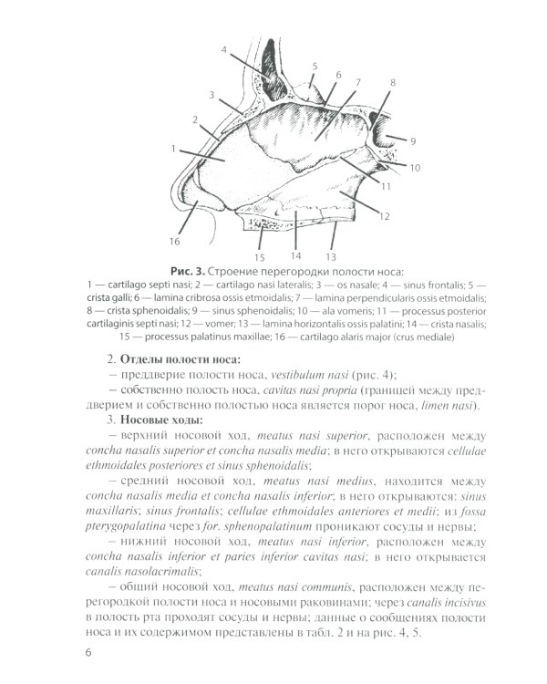 Анатомия дыхательной системы и сердца: Учебное пособие. 14-е изд., перераб. и испр