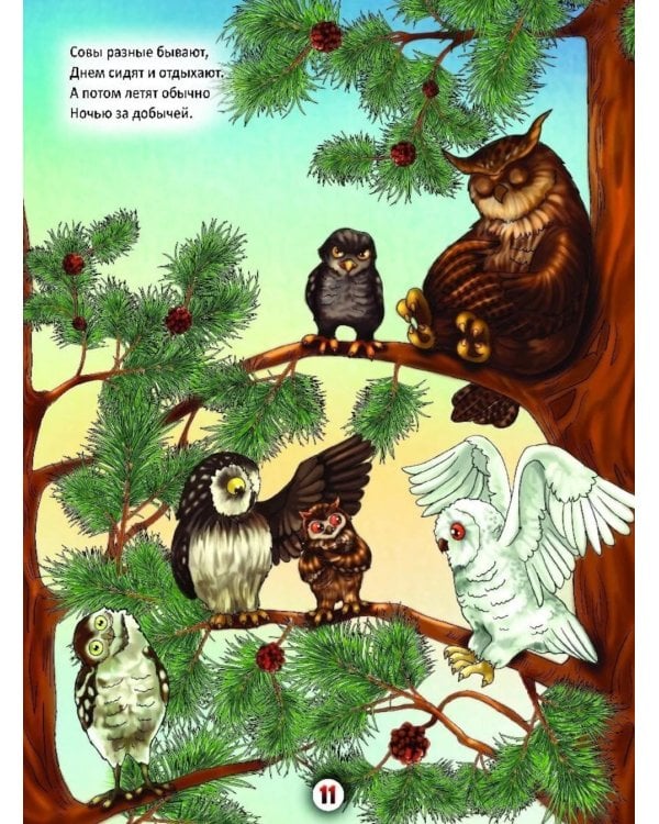 Летом в лесу: стихи