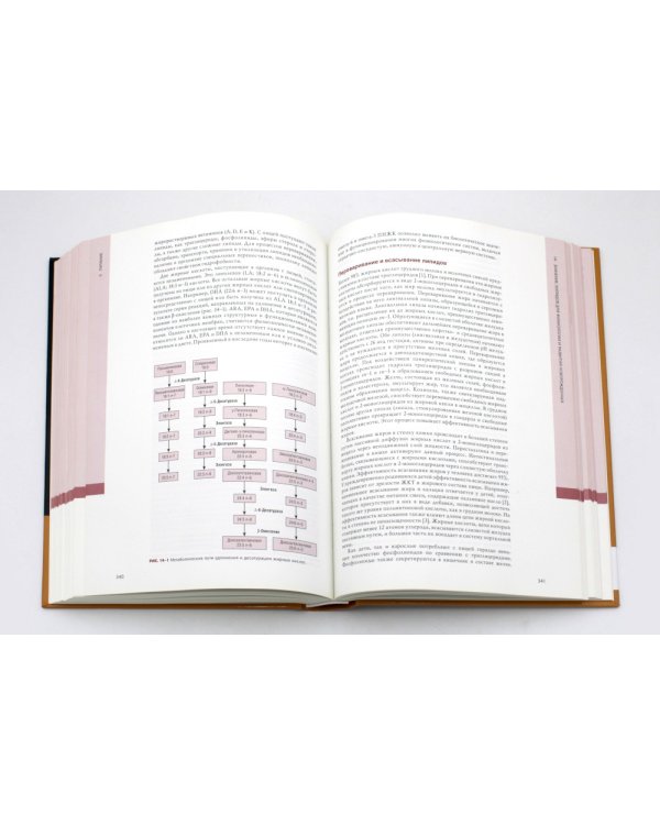 Гастроэнтерология и питание