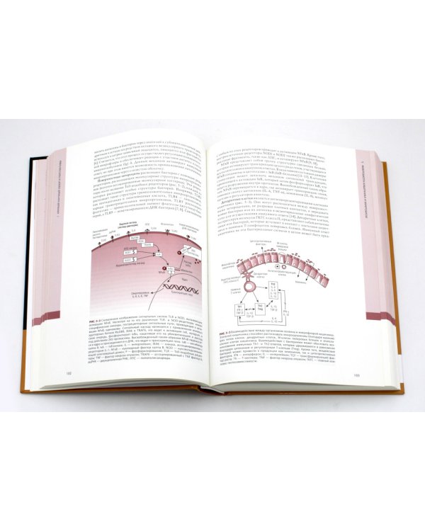 Гастроэнтерология и питание