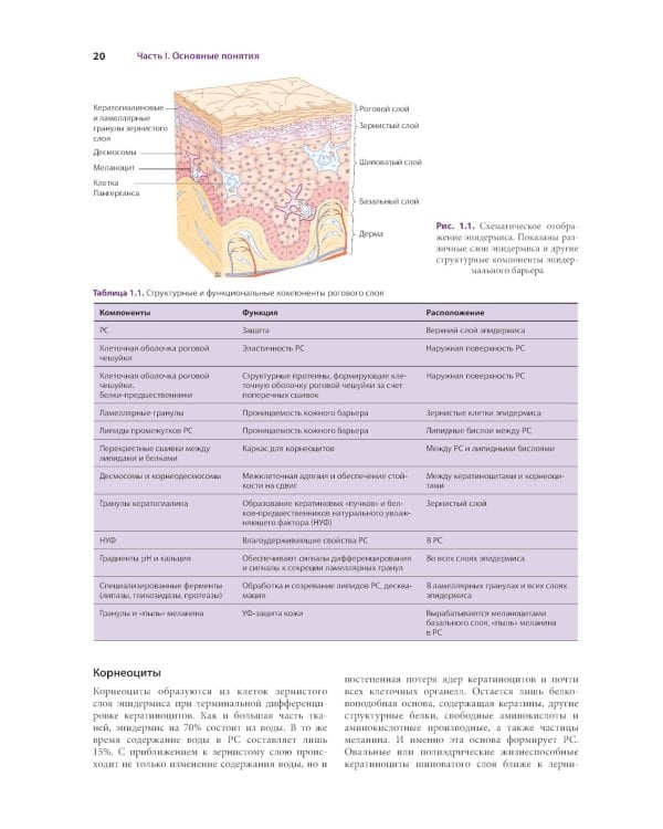 Косметическая дерматология