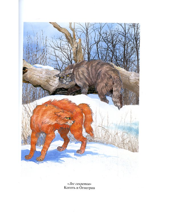 Коты-воители. Лес секретов. Бушующая стихия
