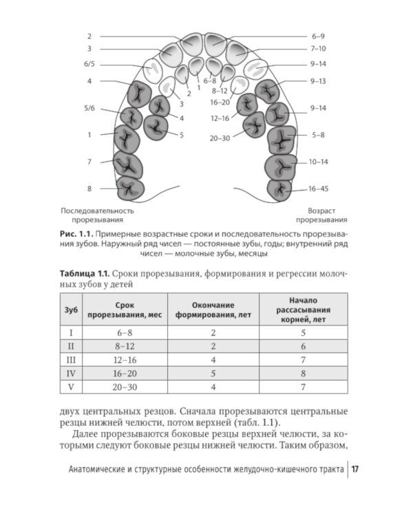 Младенческая гастроэнтерология: руководство для врачей.  2-е изд., перераб. и доп