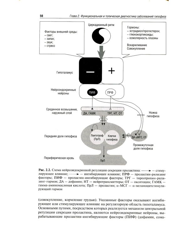 Функциональная и топическая диагностика в эндокринологии: руководство. 3-е изд., перераб. и доп