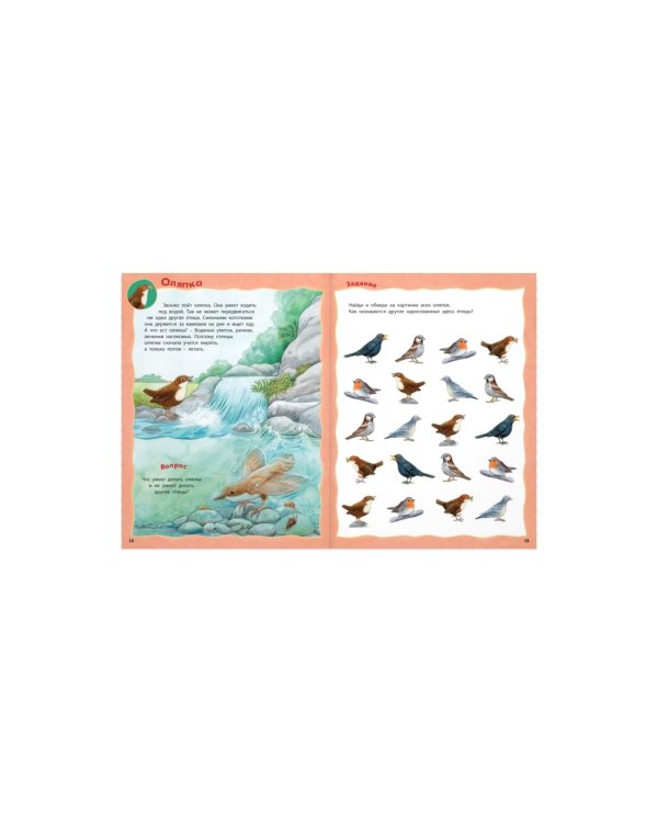 Кто живёт в реке? Книжка-активити