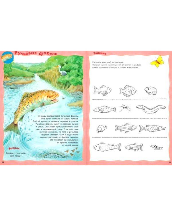 Кто живёт в реке? Книжка-активити