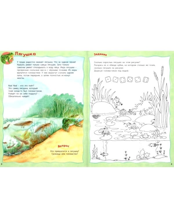 Кто живёт в реке? Книжка-активити