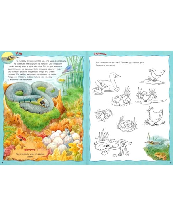 Кто живёт в реке? Книжка-активити