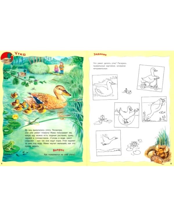 Кто живёт в реке? Книжка-активити