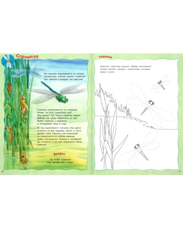 Кто живёт в реке? Книжка-активити