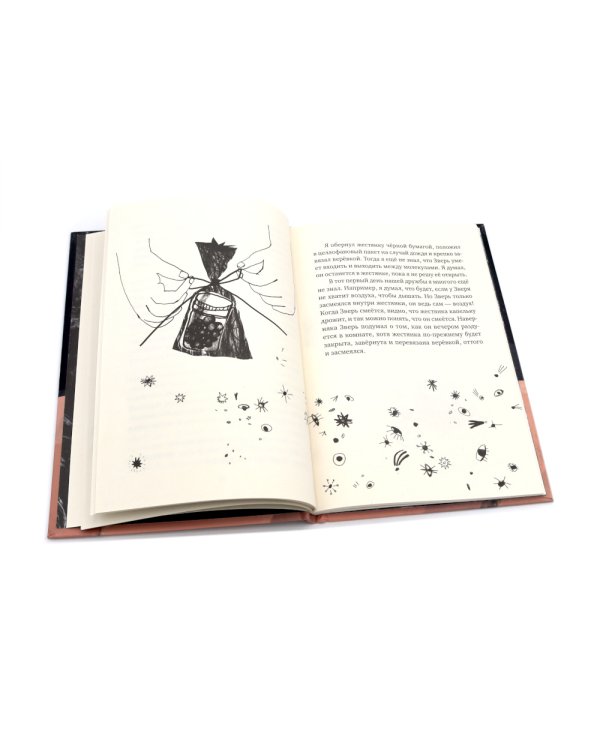 Зверь из темноты: (для дошкольного и школьного возраста)