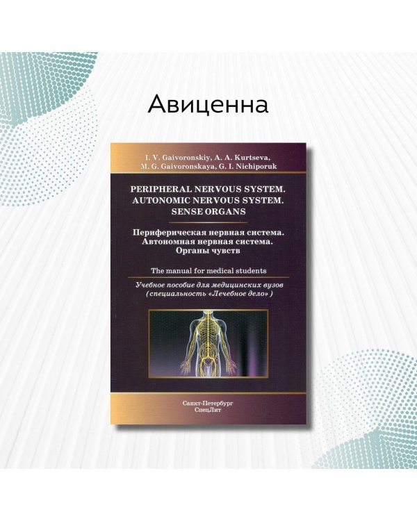 Периферическая нервная система. Автономная нервная система. Органы чувств. Учебное пособие