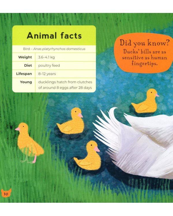 My First Book of Farm Animals
