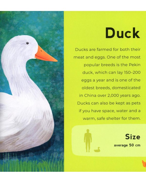 My First Book of Farm Animals