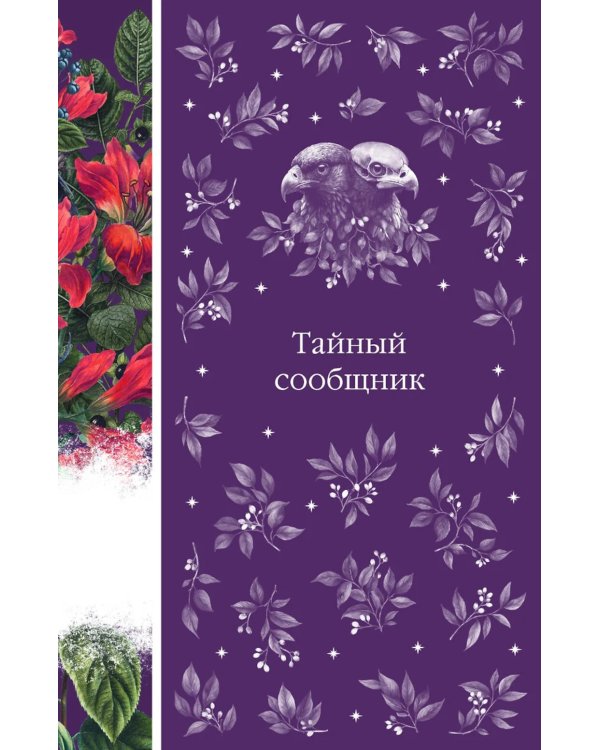 Тайный сообщник