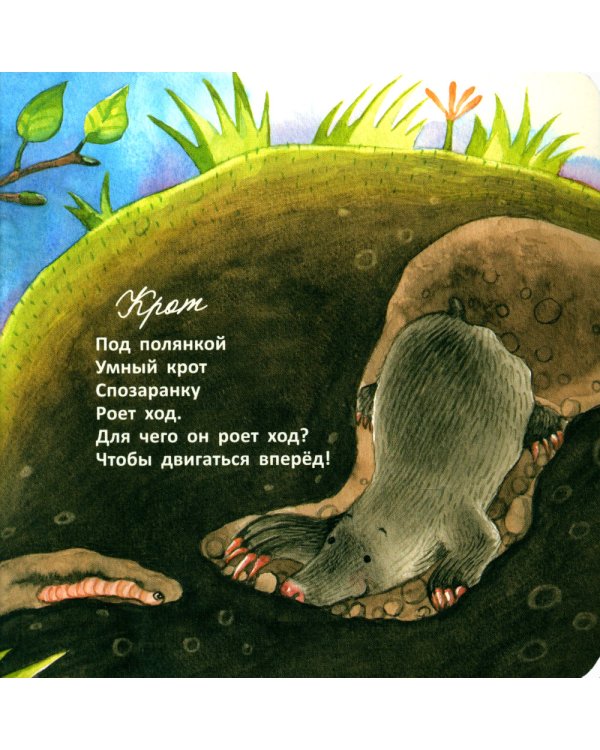 Цап царап и чик чирик; Солнце делает зарядку; Пальчики мальчики (комплект из 3 кн.)