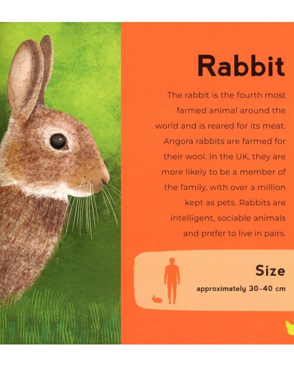 My First Book of Farm Animals