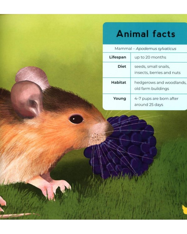 My First Book of Farm Animals