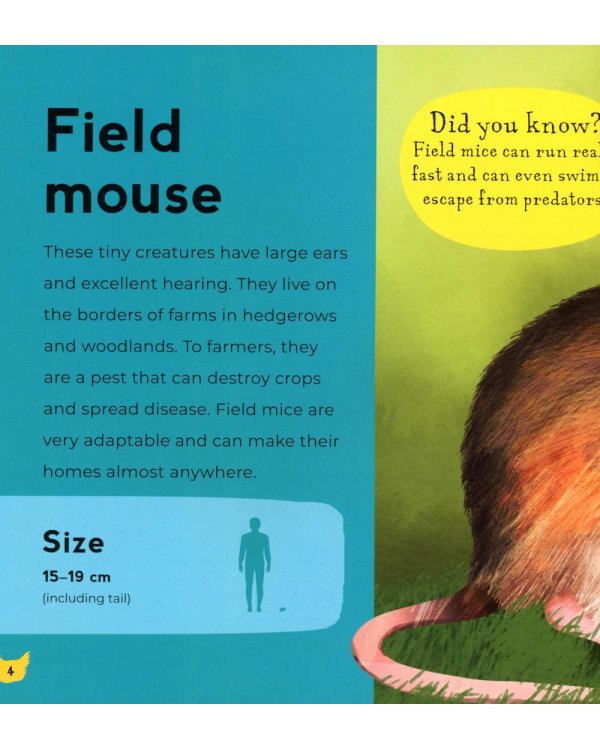 My First Book of Farm Animals