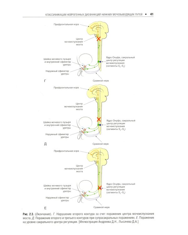 Нейроурология: Учебное пособие
