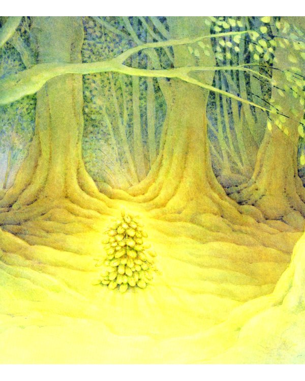 Маленькая ёлочка (иллюстрации Люка Купманса)