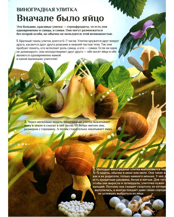 Что и как растет