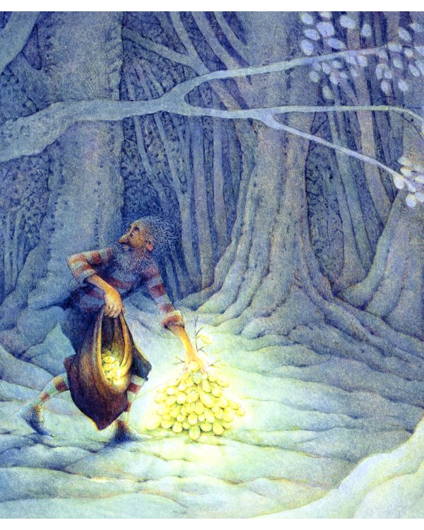 Маленькая ёлочка (иллюстрации Люка Купманса)