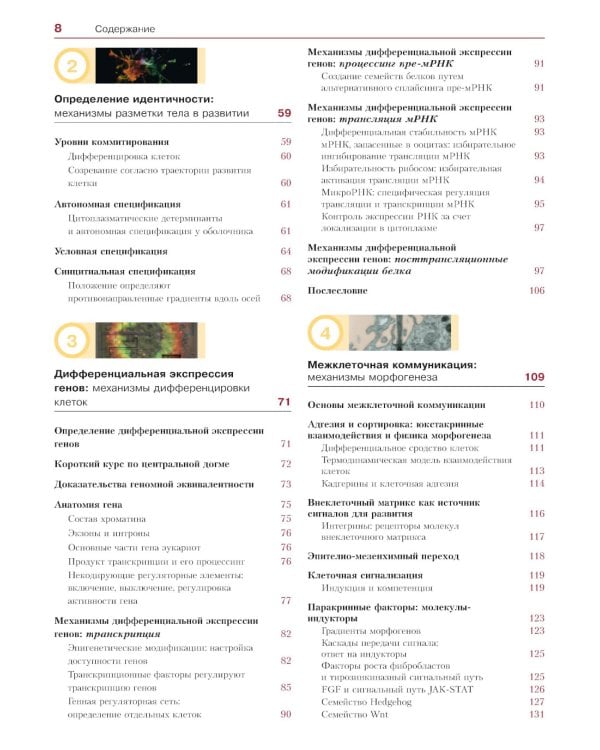 Биология развития. 2-е изд