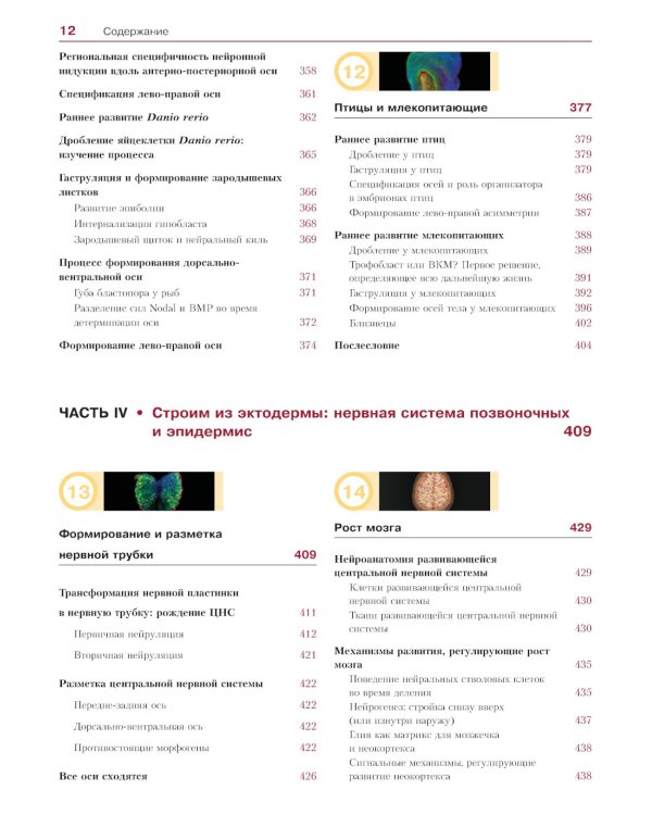 Биология развития. 2-е изд