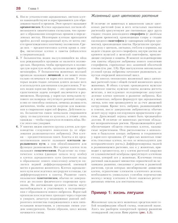 Биология развития. 2-е изд