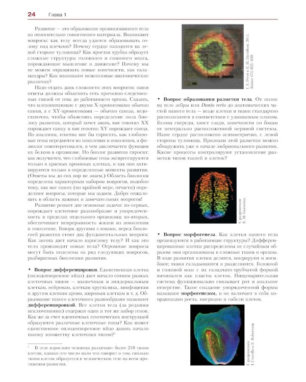 Биология развития. 2-е изд
