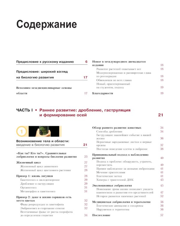 Биология развития. 2-е изд