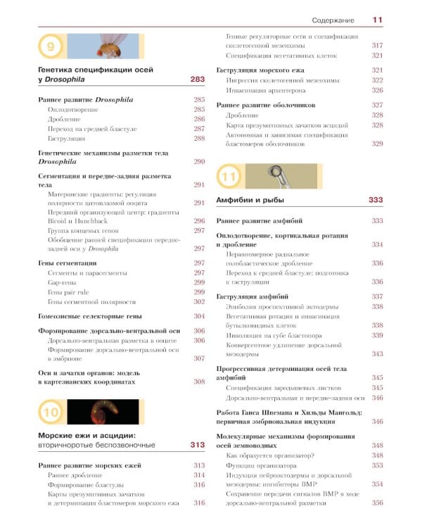 Биология развития. 2-е изд