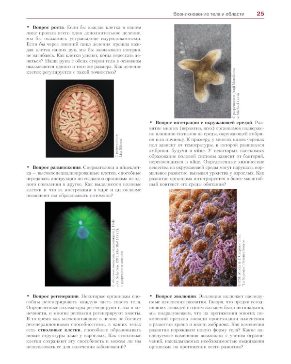 Биология развития. 2-е изд