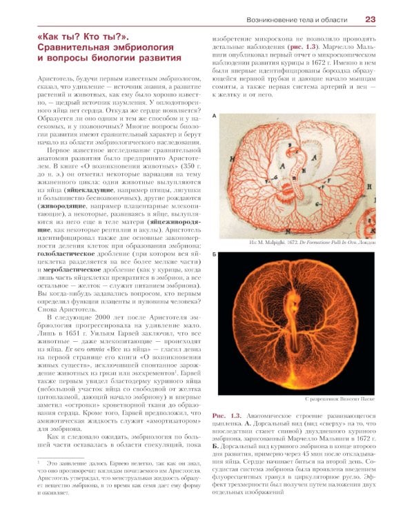 Биология развития. 2-е изд