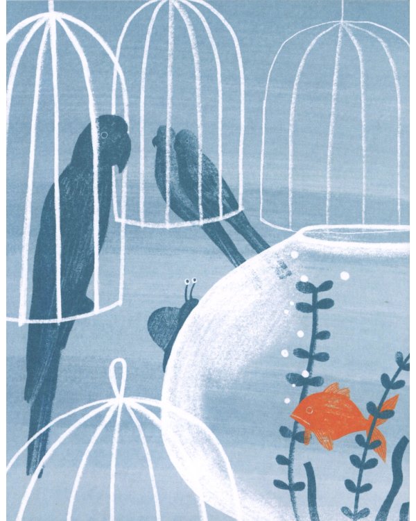 Рыжий Помпон в зеленой траве