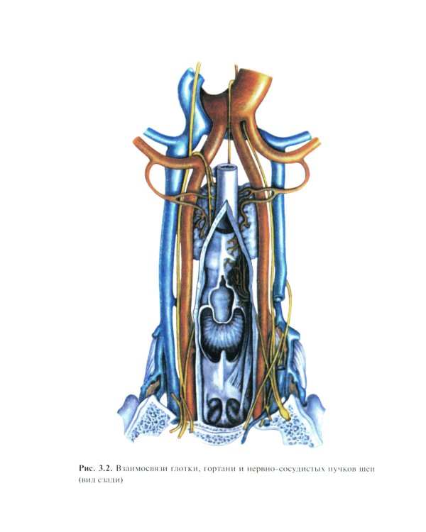 Болезни уха, горла и носа: Учебник. 3-е изд., испр. и доп