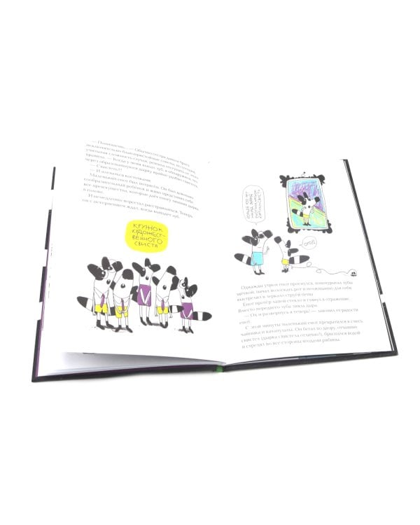 Енот в лабиринте: (для дошкольного и младшего школьного возраста)