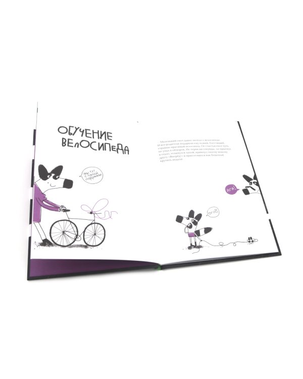 Енот в лабиринте: (для дошкольного и младшего школьного возраста)