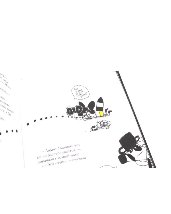 Енот в лабиринте: (для дошкольного и младшего школьного возраста)