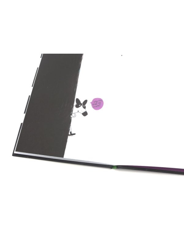 Енот в лабиринте: (для дошкольного и младшего школьного возраста)