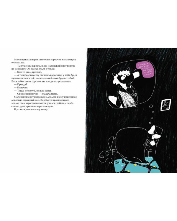 Енот в лабиринте: (для дошкольного и младшего школьного возраста)