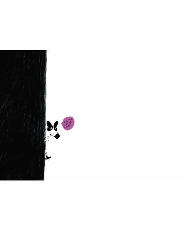 Енот в лабиринте: (для дошкольного и младшего школьного возраста)