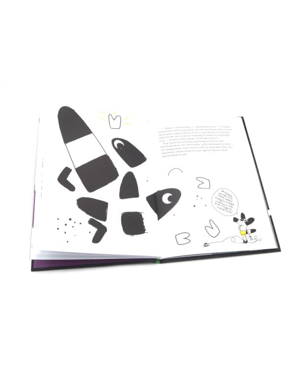 Енот в лабиринте: (для дошкольного и младшего школьного возраста)