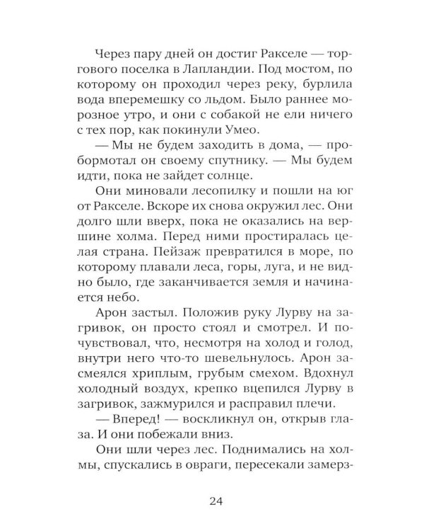 Серебряная Инна: роман