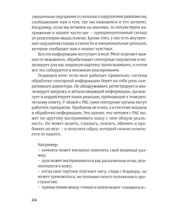 Интенсивное взаимодействие и сенсорная интеграция в работе с людьми с тяжелыми формами аутизма