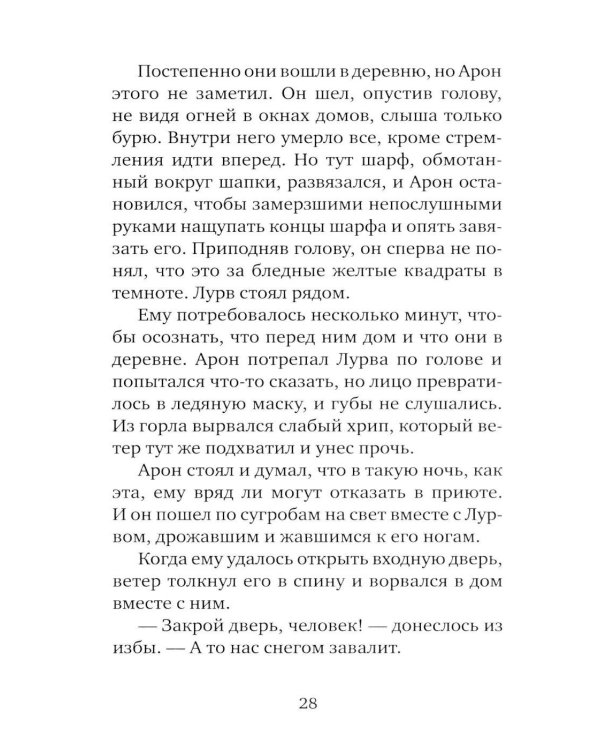 Серебряная Инна: роман