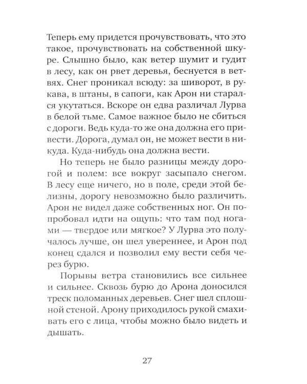 Серебряная Инна: роман